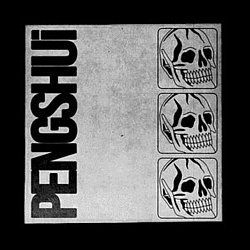 Pengshui - PENGSHUi - Volume.ro