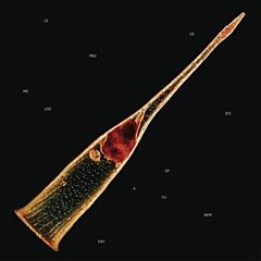 Melodies of Atonement CD / Album