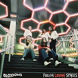 Blossoms - Foolish Loving Spaces - Volume.ro