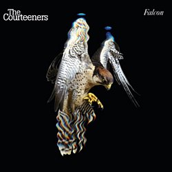 Courteeners - Falcon - Volume.ro