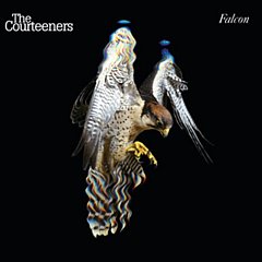 Courteeners - Falcon