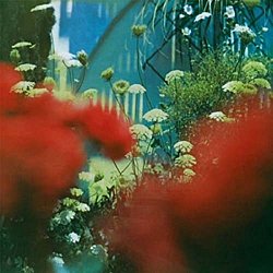 Pulled Apart By Horses - The Haze - Volume.ro