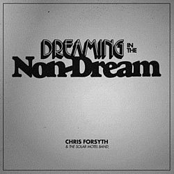 Chris Forsyth - Dreaming in the Non-dream - Volume.ro