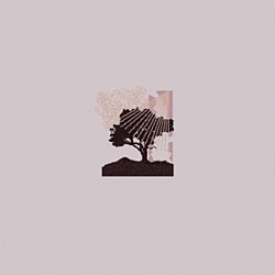 Land Of Talk - Performances - Volume.ro