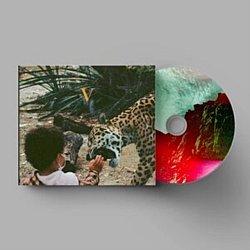 Unknown Mortal Orchestra - V - Volume.ro