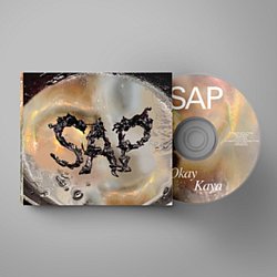 Okay Kaya - SAP - Volume.ro