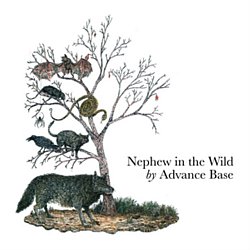 Advance Base - Nephew in the Wild - Volume.ro