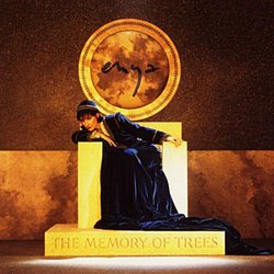 Enya - The Memory of Trees - Volume.ro