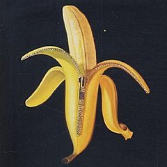 Dandy Warhols - Welcome to the Monkey House