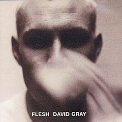 David Gray - Flesh