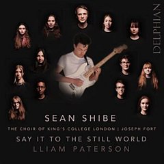 Liam Patterson - Lliam Paterson: Say It to the Still World
