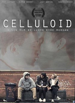 Celluloid 2013 DVD - Volume.ro