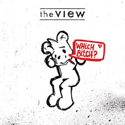 View - Which Bitch? - Volume.ro