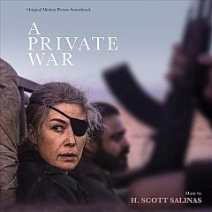 H Scott Salinas - A Private War