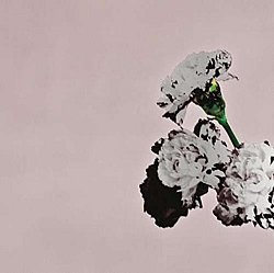 John Legend - Love in the Future - Volume.ro