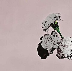 John Legend - Love in the Future
