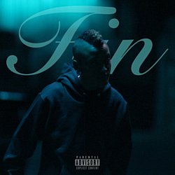 Fin - Fin - Volume.ro