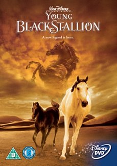 The Young Black Stallion 2003 DVD