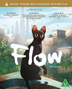 Flow 2024 Blu-ray - Volume.ro