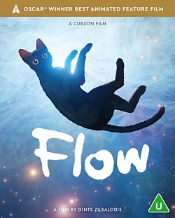 Flow 2024 Blu-ray / 4K Ultra HD + Blu-ray - Volume.ro