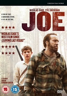 Joe 2013 DVD