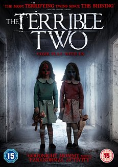 The Terrible Two 2018 DVD