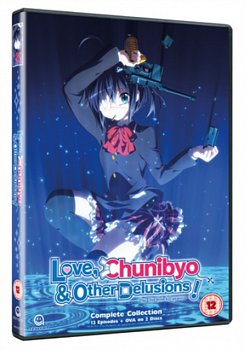 Love, Chunibyo & Other Delusions 2013 DVD - Volume.ro