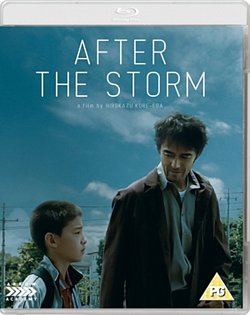 After the Storm 2016 Blu-ray - Volume.ro