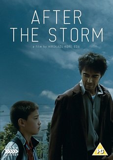 After the Storm 2016 DVD
