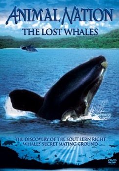 Animal Nation: The Lost Whales 2007 DVD - Volume.ro
