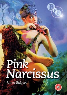 Pink Narcissus 1971 DVD