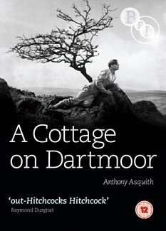 A   Cottage On Dartmoor 1929 DVD