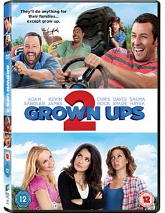 Grown Ups 2 2013 DVD
