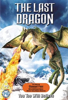 The Last Dragon 2004 DVD - Volume.ro