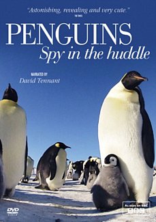 Penguins: Spy in the Huddle  DVD