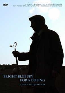 Bright Blue Sky for a Ceiling  DVD