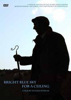 Bright Blue Sky for a Ceiling  DVD - Volume.ro