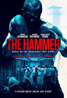 The Hammer 2017 DVD