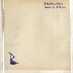 Babyshambles - Down in Albion
