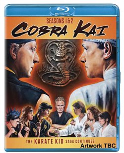 Cobra Kai: Season 1 & 2 2019 Blu-ray / Box Set - Volume.ro