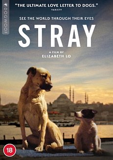 Stray 2020 DVD