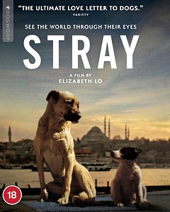 Stray 2020 Blu-ray