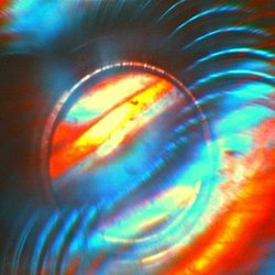 Solar Bears - Advancement - Volume.ro
