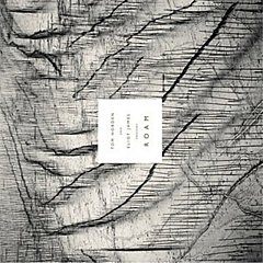 Tom Hobden And Eliot James - Tom Hobden & Eliot James Present: Roam