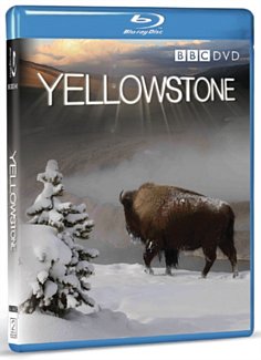 Yellowstone: Tales from the Wild  Blu-ray