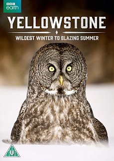 Yellowstone - Wildest Winter to Blazing Summer 2017 DVD