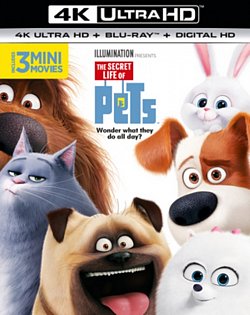 The Secret Life of Pets 2016 Blu-ray / 4K Ultra HD + Blu-ray + Digital Download (Red Tag) - Volume.ro