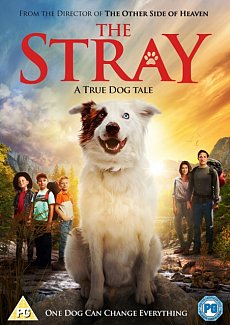 The Stray 2017 DVD