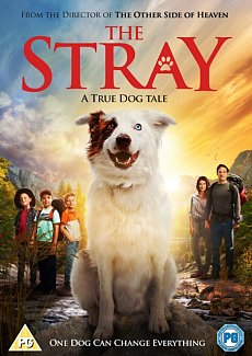 The Stray 2017 DVD