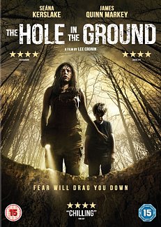 The Hole in the Ground 2019 DVD